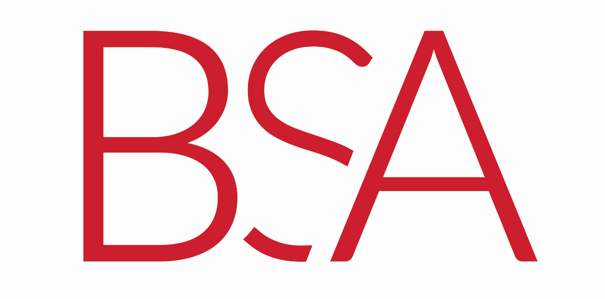 BSA LifeStructures Sponsor logo